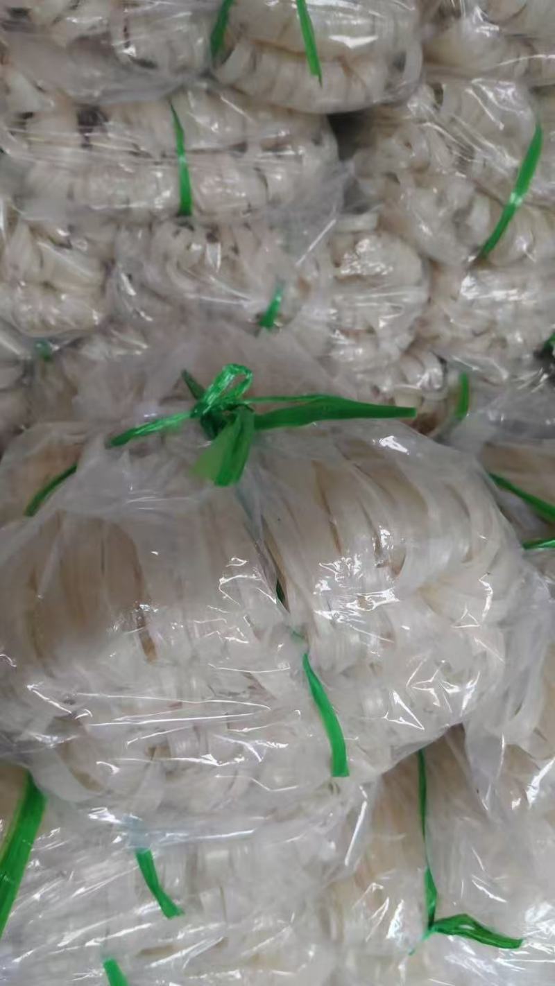 山药粉条山药粉条/量大从优/诚信经营产地直发