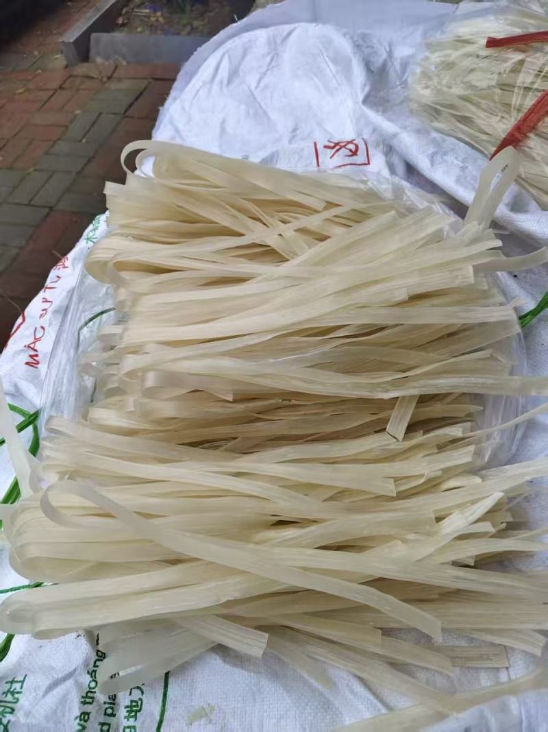 山药粉条山药粉条/量大从优/诚信经营产地直发