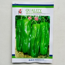 萧研早冠青椒种子早熟长灯笼薄皮泡椒种子辣椒种籽春夏秋