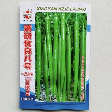萧研优良八号线椒种籽加长八号线椒种子香辣产量高辣椒种子