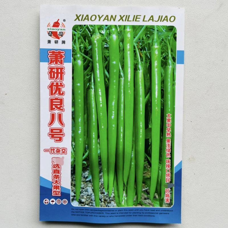 萧研优良八号线椒种籽加长八号线椒种子香辣产量高辣椒种子