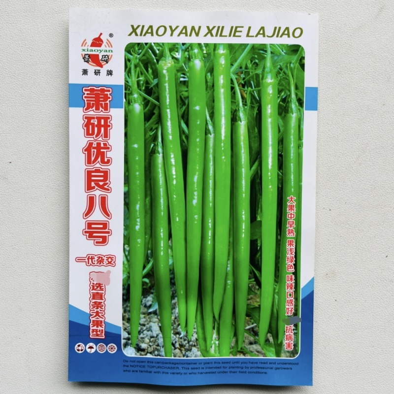 萧研优良八号线椒种籽加长八号线椒种子香辣产量高辣椒种子