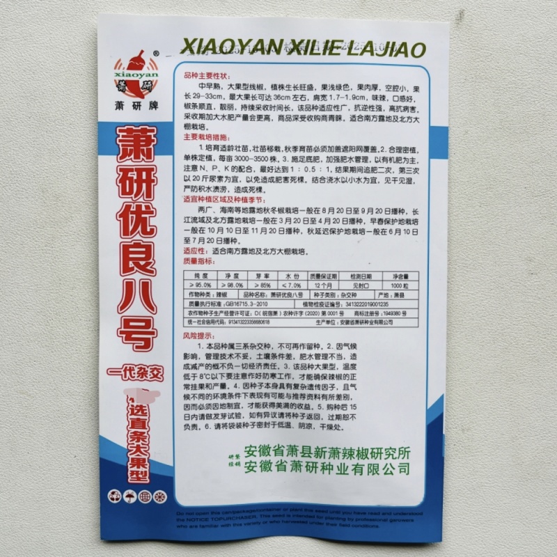 萧研优良八号线椒种籽加长八号线椒种子香辣产量高辣椒种子