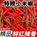 精品小米椒今日报价，适合电商超市各大市场需要的请联系