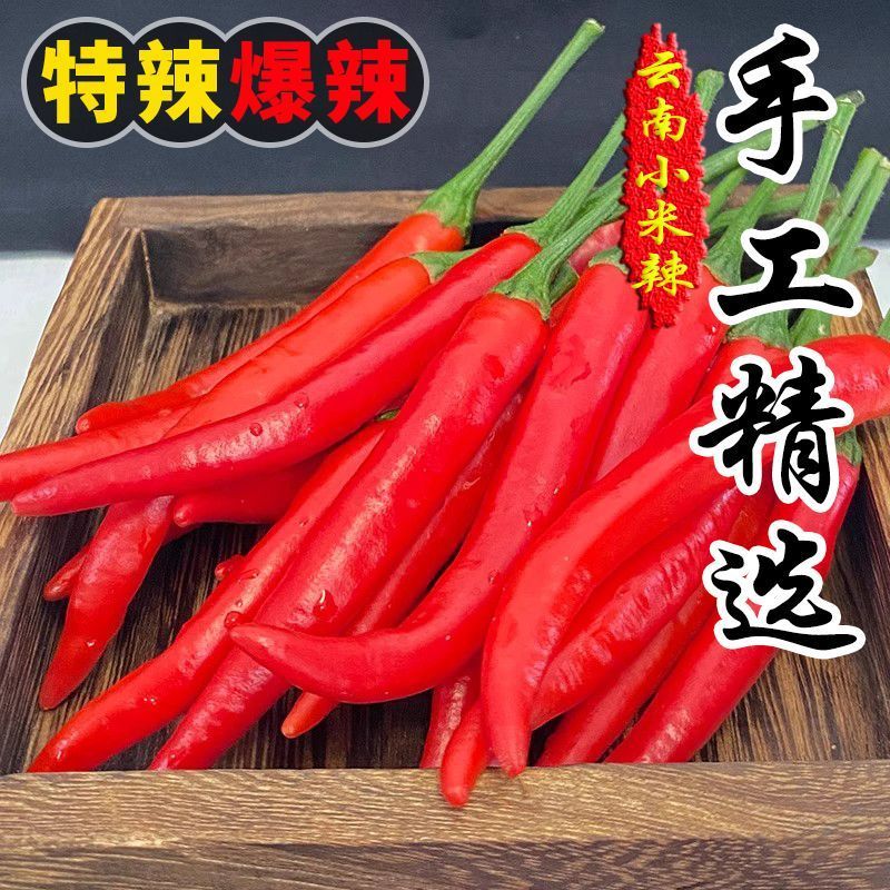 精品小米椒今日报价，适合电商超市各大市场需要的请联系