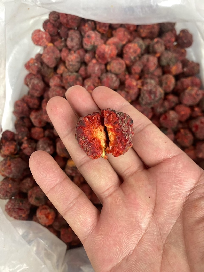 帝王果高原柘果干货颜色好大果批发低价质量保证中缅边境代发