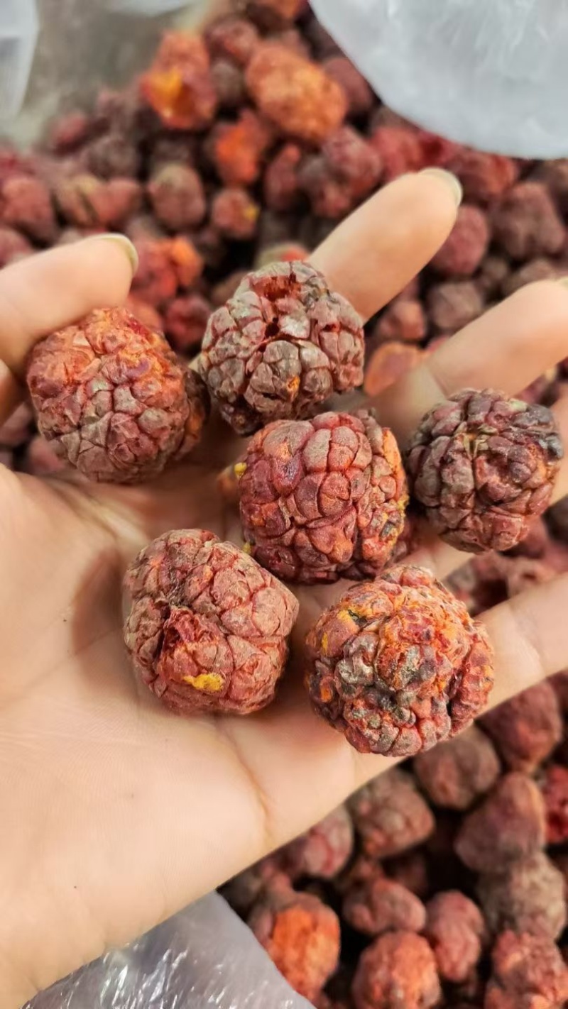 帝王果高原柘果干货颜色好大果批发低价质量保证中缅边境代发