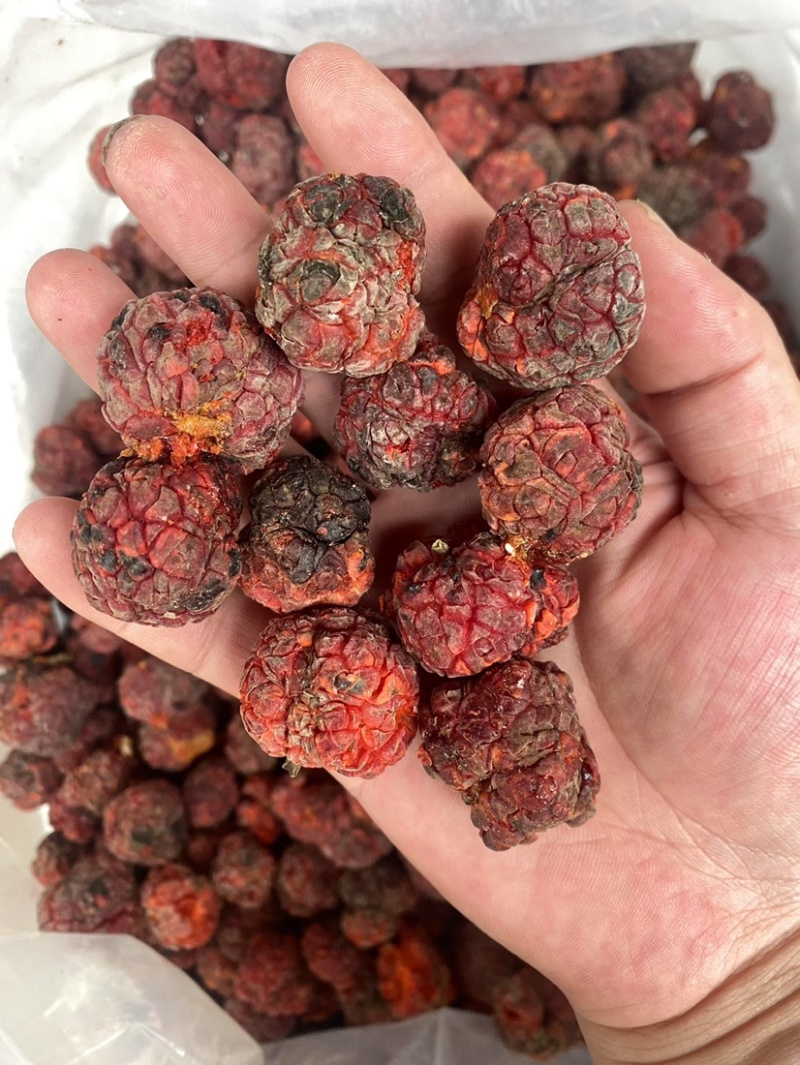 帝王果高原柘果干货颜色好大果批发低价质量保证中缅边境代发