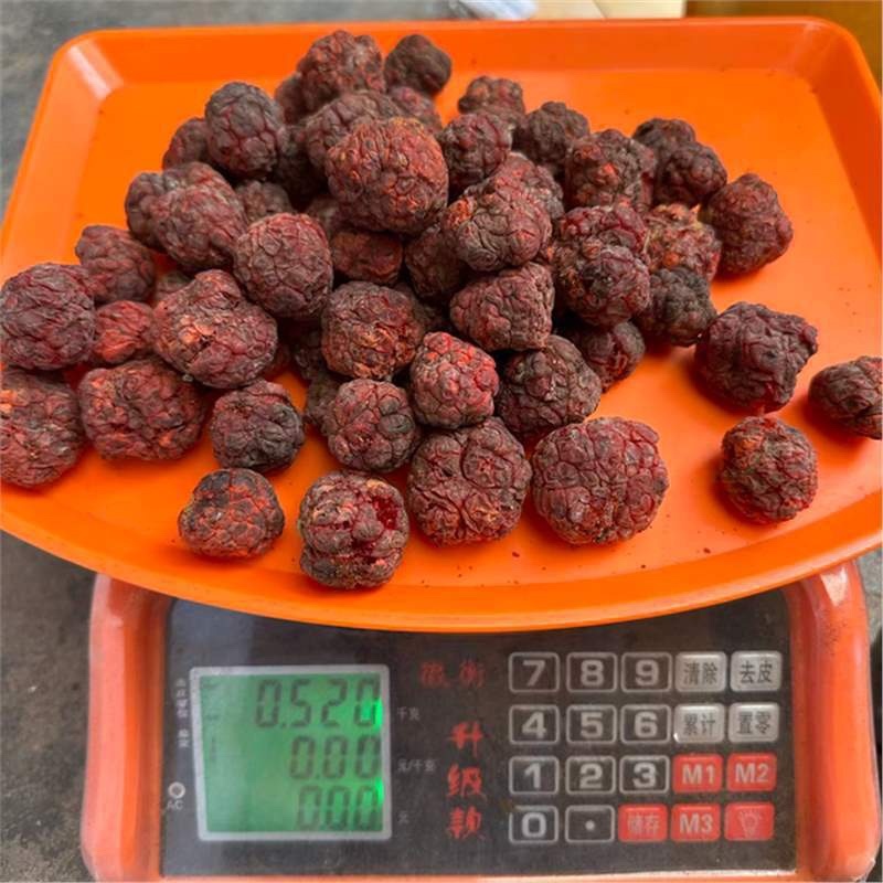 帝王果高原柘果干货颜色好大果批发低价质量保证中缅边境代发