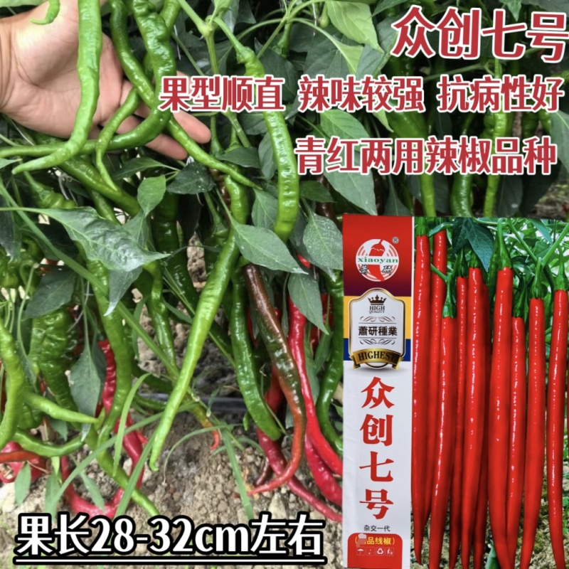 萧研众创七号长线椒辣椒种子抗病高产果皮光亮辣度强青红两用