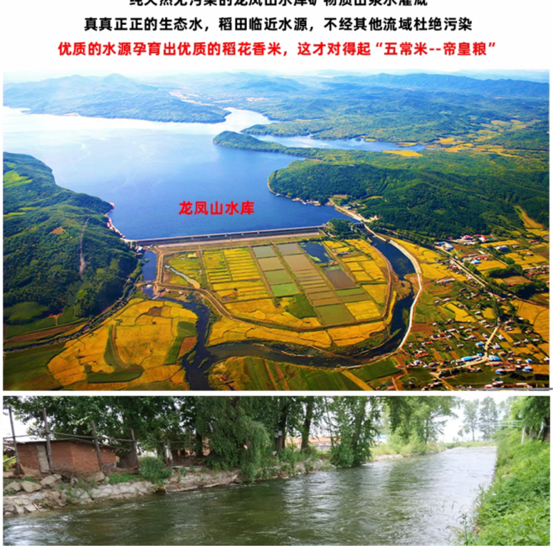 五常稻花香2号香米基地核心产区自产自销诚信经营