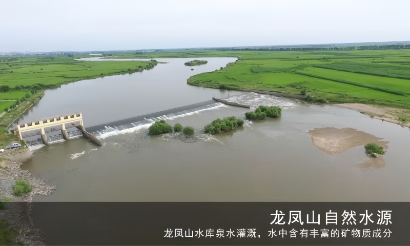 五常稻花香2号香米基地核心产区自产自销诚信经营