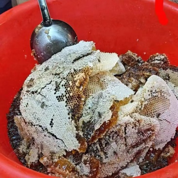 老式农家土蜂蜜