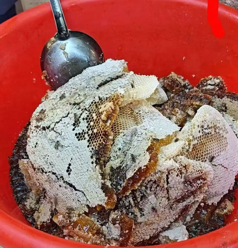 老式农家土蜂蜜