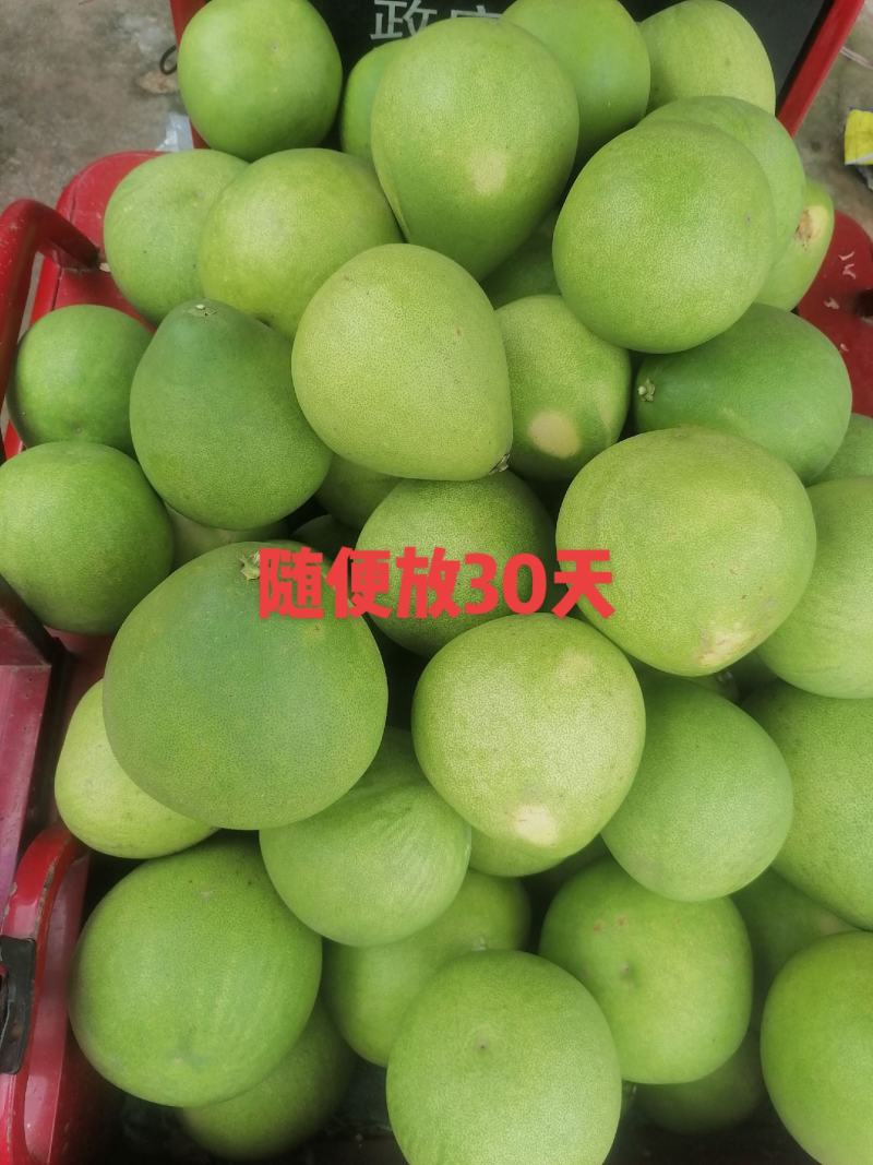 红肉蜜柚