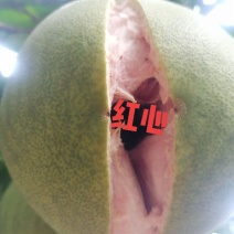 红肉蜜柚