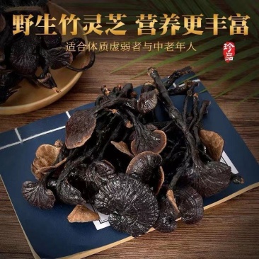 云南正宗野生竹灵芝***小个竹灵芝中药材干货食用煲汤泡酒
