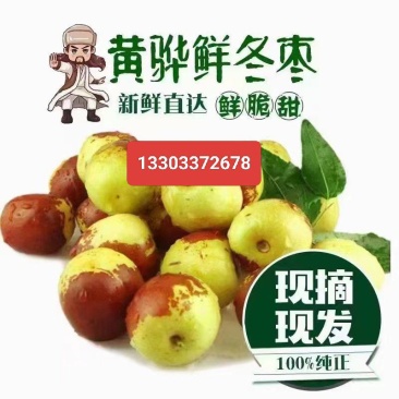 黄骅孔店冬枣代办