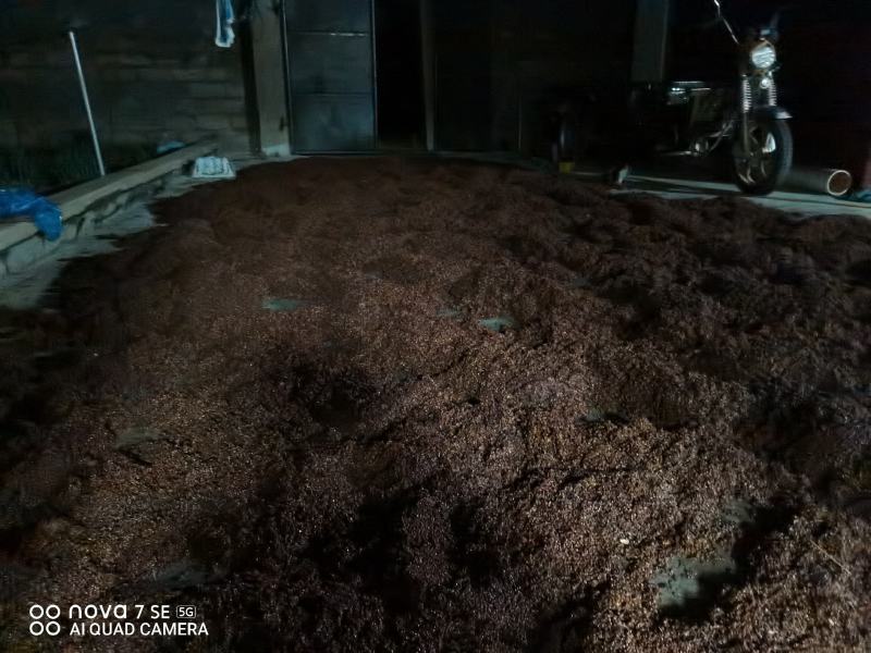 粮食加工酒自酿白酒纯粮食酒发货迅速包邮欢迎电联
