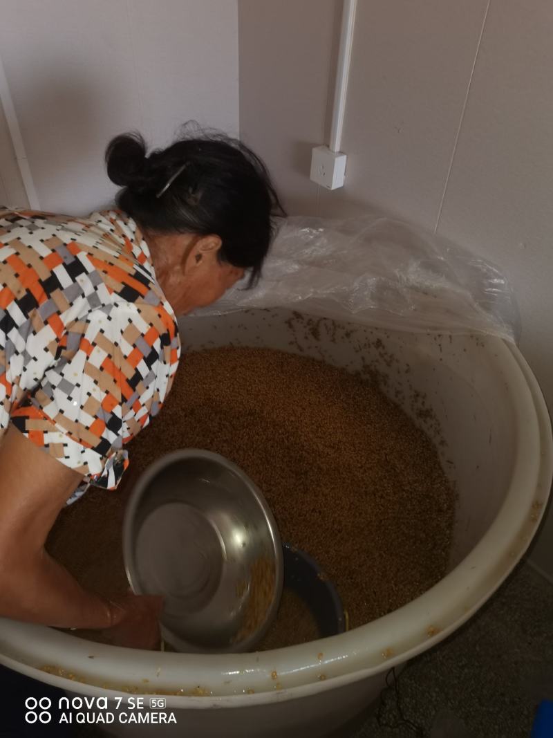 粮食加工酒自酿白酒纯粮食酒发货迅速包邮欢迎电联