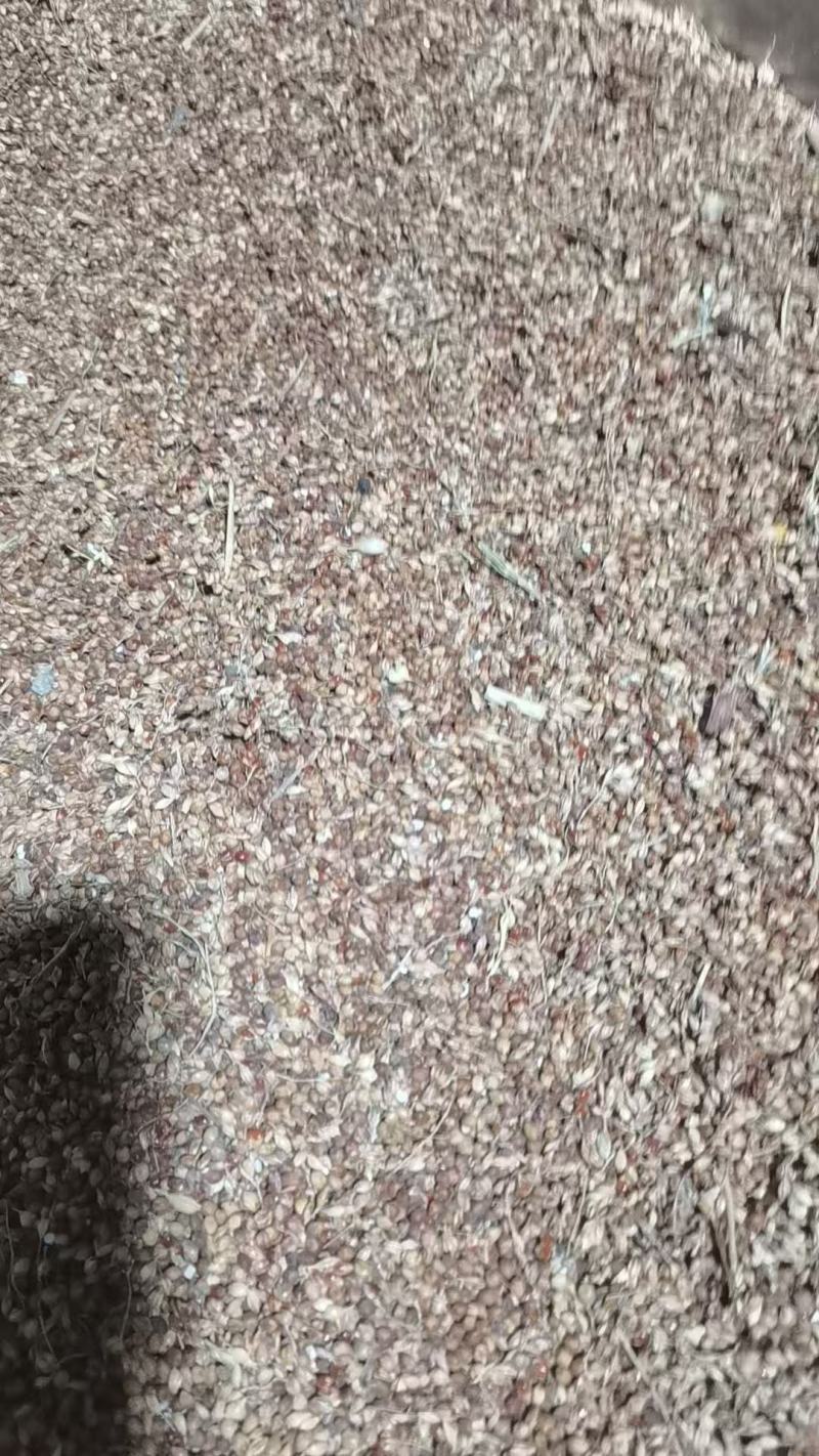 粮食加工酒自酿白酒纯粮食酒发货迅速包邮欢迎电联
