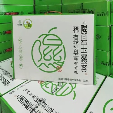 山西省临汾市隰县玉露香梨，酥梨，晋蜜梨