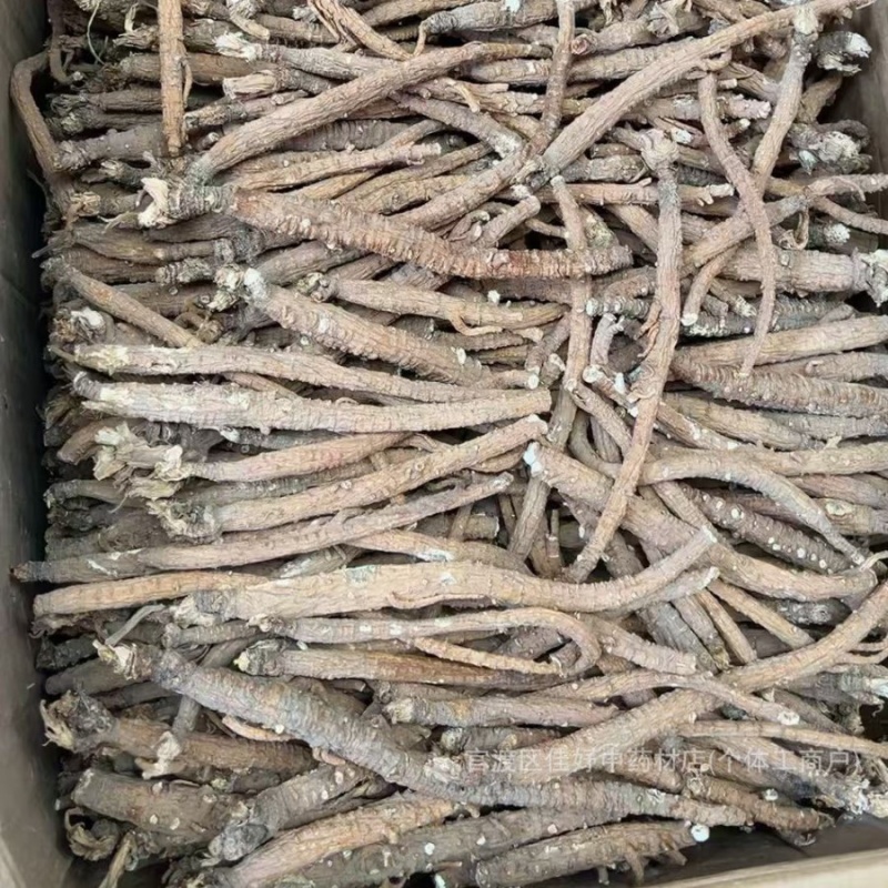 带皮沙参现货稳定一直有新货一手货源直播供应一件代发批发