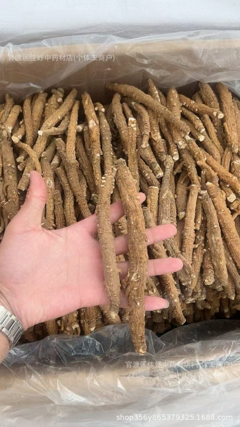 带皮沙参现货稳定一直有新货一手货源直播供应一件代发批发