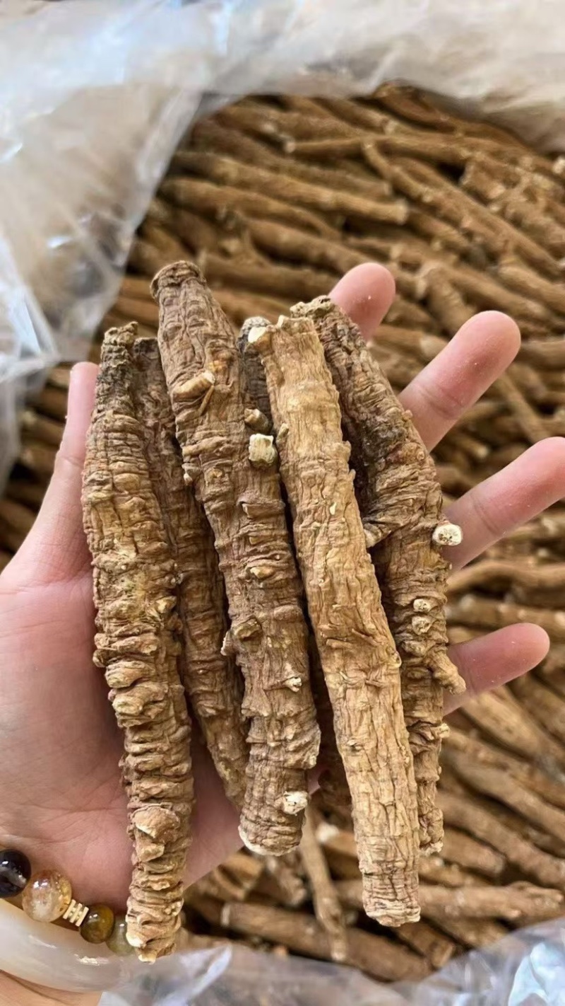 带皮沙参现货稳定一直有新货一手货源直播供应一件代发批发