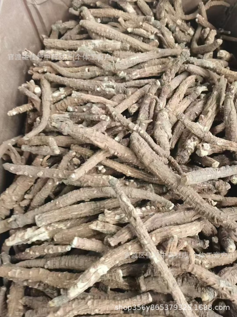 带皮沙参现货稳定一直有新货一手货源直播供应一件代发批发