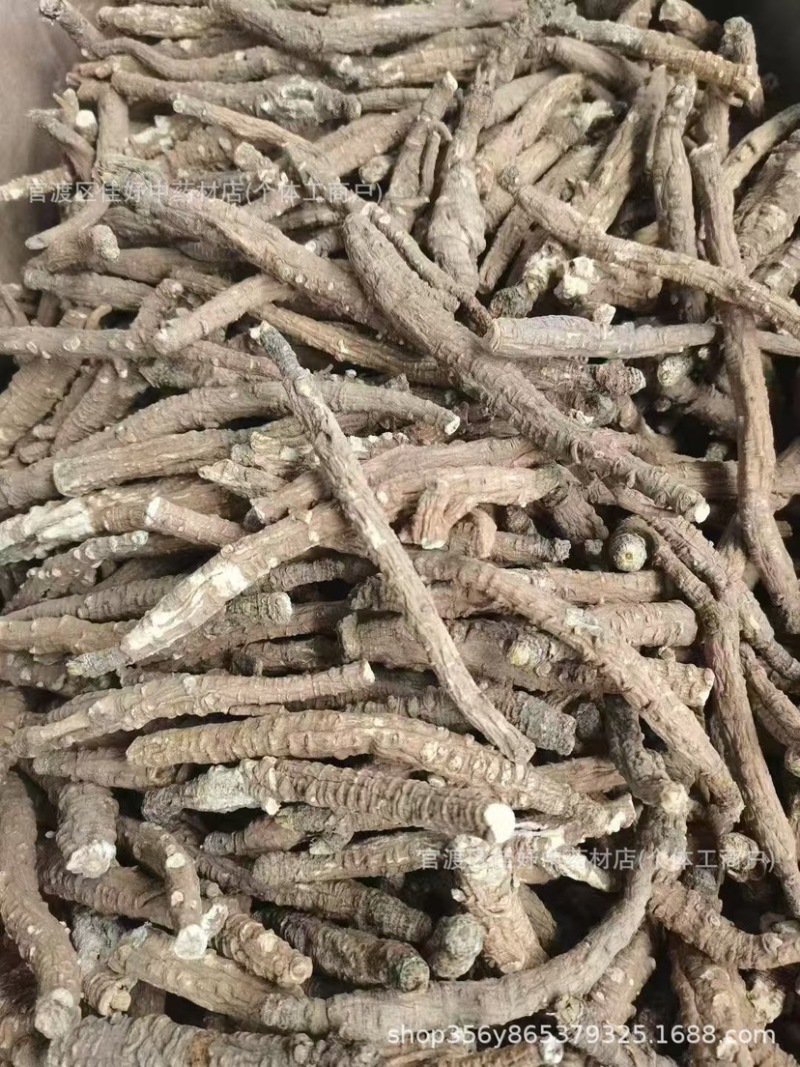 带皮沙参现货稳定一直有新货一手货源直播供应一件代发批发