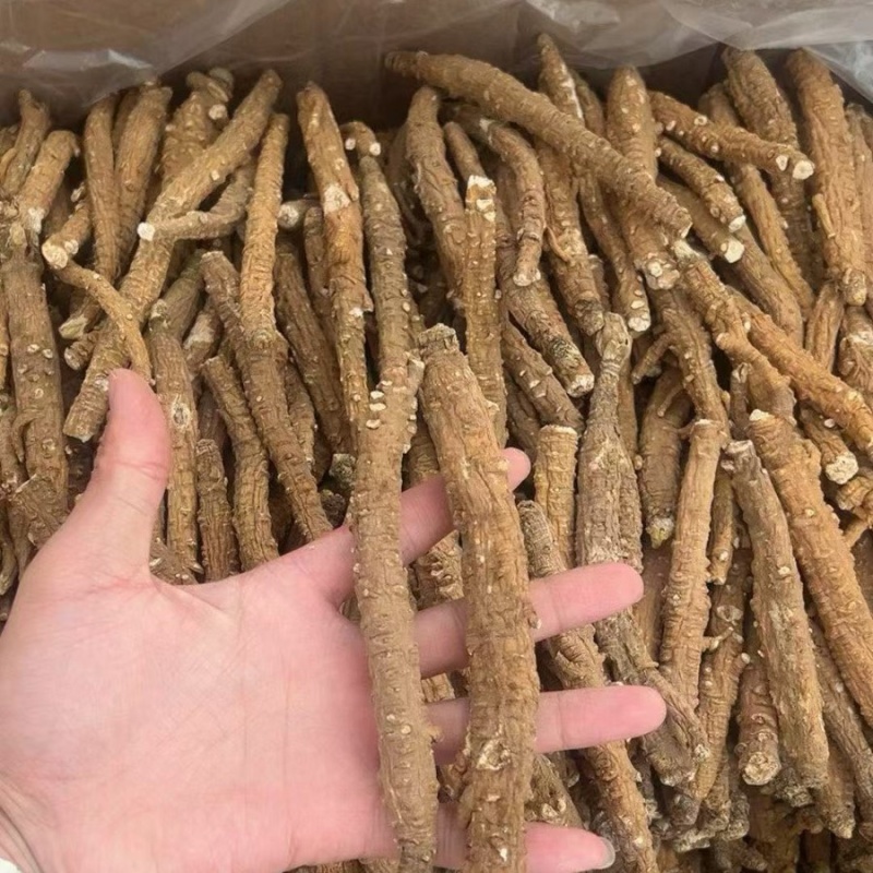 带皮沙参现货稳定一直有新货一手货源直播供应一件代发批发