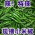 精品小米青尖椒今日报价质量好品质有保障电商商超市各大市场
