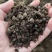 发酵羊粪，羊粪有机肥，果树施肥，土壤改良