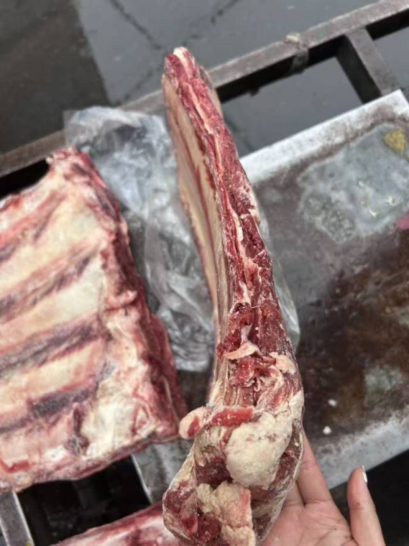 牛肋排，瘦度高。品质好，牛排骨，餐饮，电商可用。**推荐