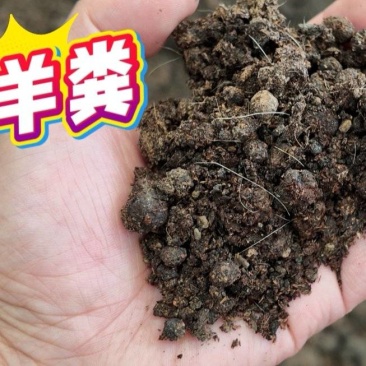 发酵羊粪，羊粪有机肥，果树施肥，土壤改良