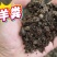 发酵羊粪，羊粪有机肥，果树施肥，土壤改良