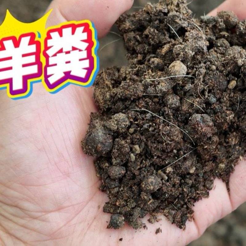 发酵羊粪，羊粪有机肥，果树施肥，土壤改良