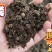 发酵羊粪，羊粪有机肥，果树施肥，土壤改良