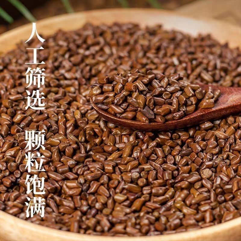 决明子正品炒熟决明子大粒产地直销诚信经营中药材