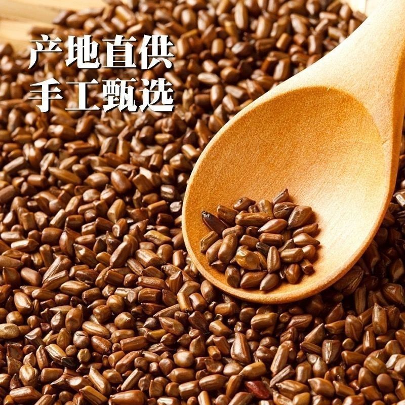 决明子正品炒熟决明子大粒产地直销诚信经营中药材
