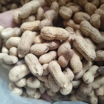 2025年新货炒花生熟原味儿电商用货商超用货农家铁锅花生