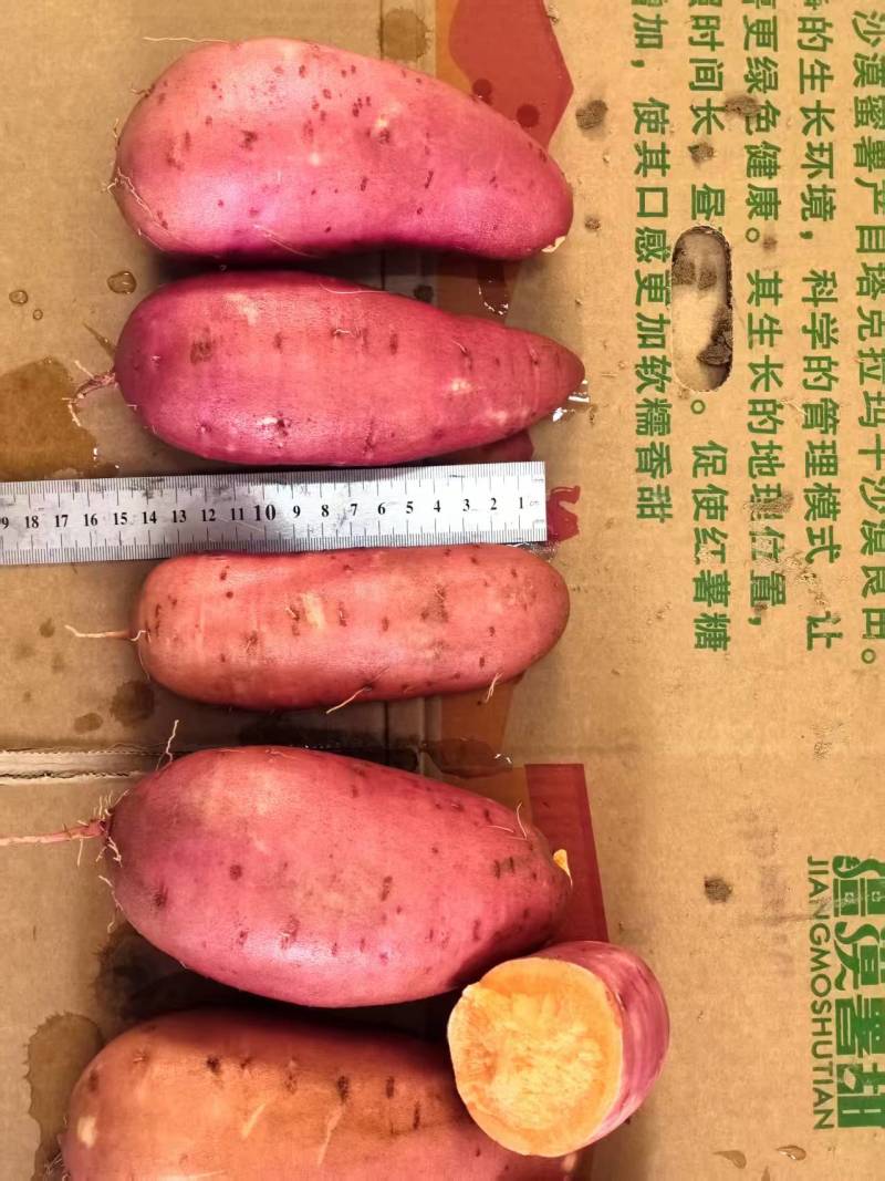 西瓜红红薯