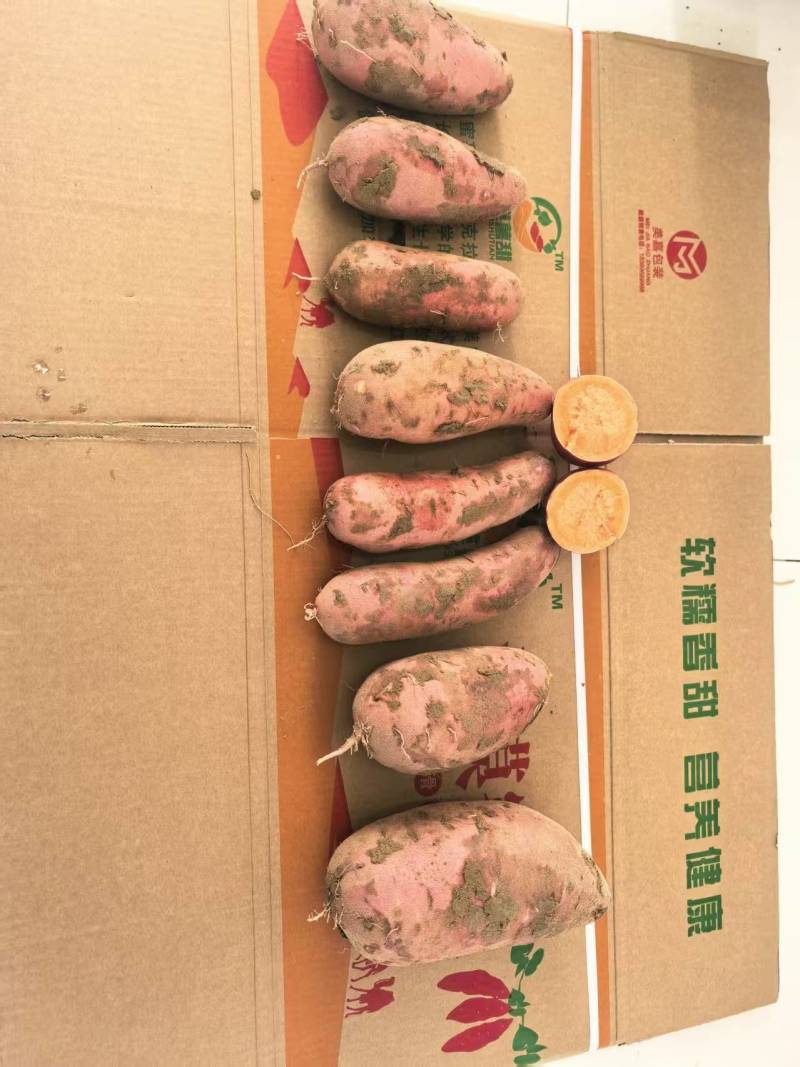 西瓜红红薯