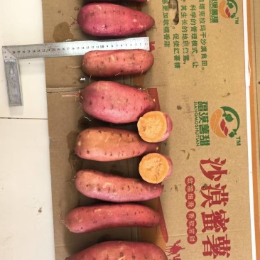 西瓜红红薯