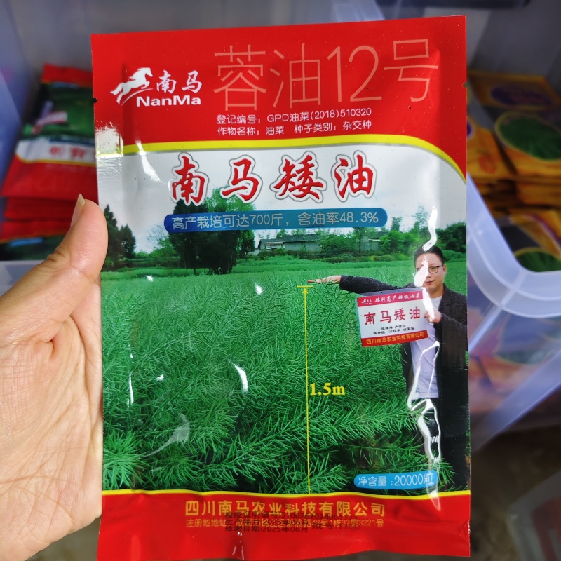 南马矮油油菜种子矮杆分枝多产量高含油率高油菜籽种子