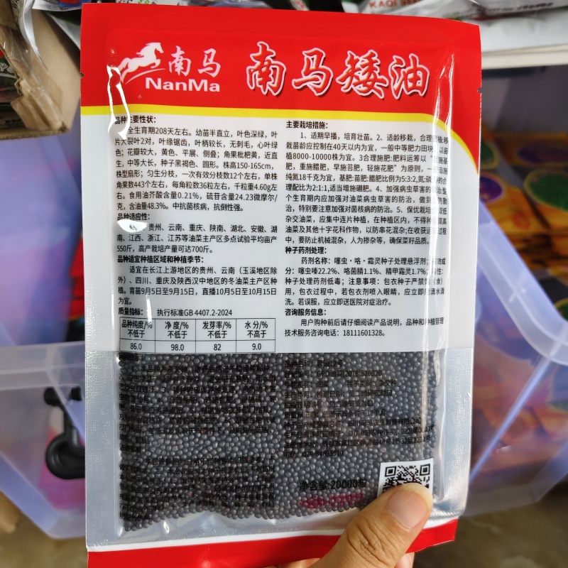 南马矮油油菜种子矮杆分枝多产量高含油率高油菜籽种子