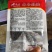 南马矮油油菜种子矮杆分枝多产量高含油率高油菜籽种子