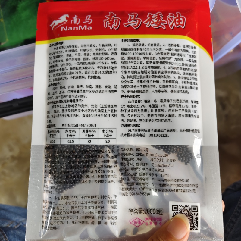 南马矮油油菜种子矮杆分枝多产量高含油率高油菜籽种子