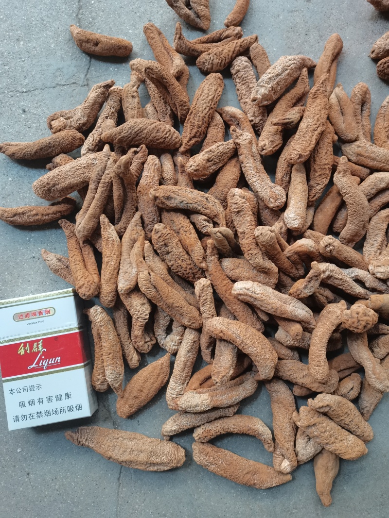 纯干茄参高涨发口感好海茄子海地瓜中号纯干